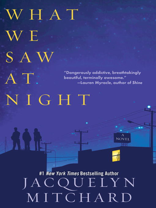 Title details for What We Saw at Night by Jacquelyn Mitchard - Available